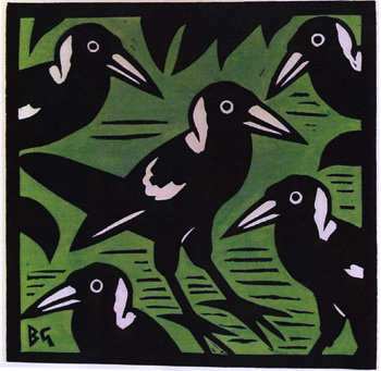 Magpies