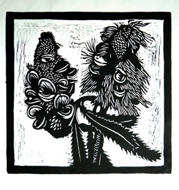 B&W Banksias