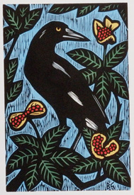 Currawong