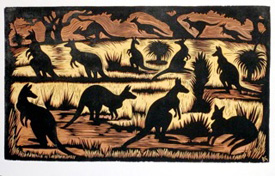 Kangaroos